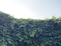-李叔同故居纪念馆