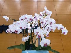 -星巴克(北京中关村北京国际店)