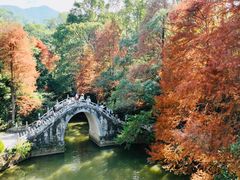 -深圳仙湖植物园