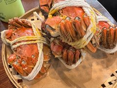 -欢乐蟹庄·精品农家乐(阳澄湖莲花岛店)