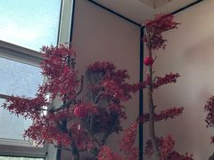-鸽子侯·家宴·平价海鲜(市图书馆店)