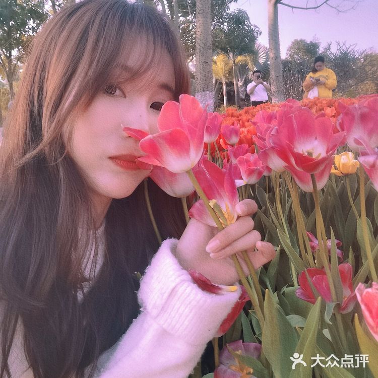 🌷园博苑•荷兰园郁金香•异域风情🌷