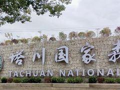 -塔川景区