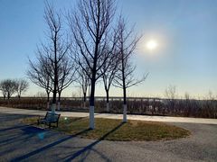 -永定河休闲森林公园