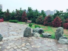 -西安青龙寺遗址景区