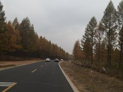 -塞罕坝国家级自然保护区