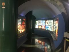 -上海昆虫博物馆