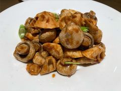 春笋烧口蘑-京味斋·烤鸭·北京菜(安贞店)