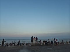 -日照海滨国家森林公园