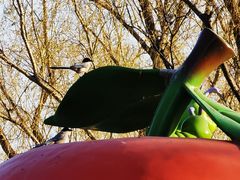 -朝阳公园游乐园