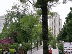 -铁像寺水街