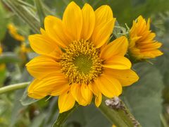 -奥林匹克森林公园北园-停车场