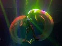 -芜湖新华联大白鲸海洋公园