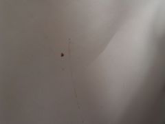 -龙岩东方凯悦商务酒店(国际美食城店)