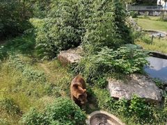 -无锡动物园·太湖欢乐园