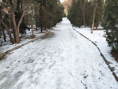 -鲍山公园