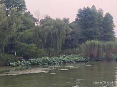 -金鸡湖桃花岛