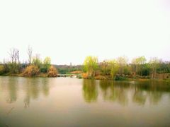 -白鹭湾湿地公园