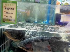 -老阿爸鲜鱼土菜(园区永旺店)