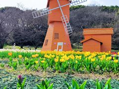 -苏州上方山国家森林公园