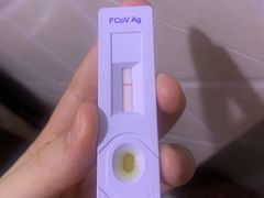 -联合动物医院(光谷诊疗中心)