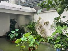 -漫笙舍Manse·咖啡·民宿