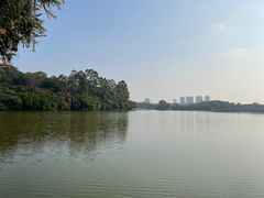 -东莞市虎英郊野公园