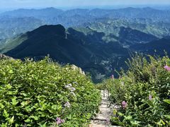 -白草畔自然风景区