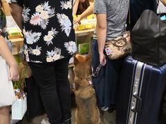 -香港会议展览中心演讲厅