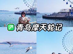 -琴岛之星摩天轮