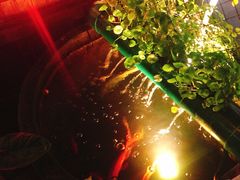 -胡桃里乐队酒馆(鎏嘉码头店)