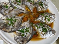 清蒸小鲳鱼-阿莉餐厅(枣阳路店)