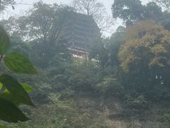 -青城山