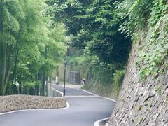 -莫干山风景区