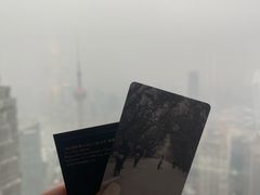 -上海柏悦酒店