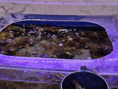 -澜悦港海鲜体验主题餐厅