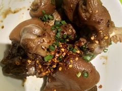 猪脚-大碗厨(东风路店)
