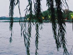 -济南大明湖景区