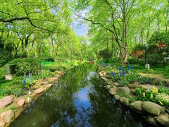 -上海共青森林公园