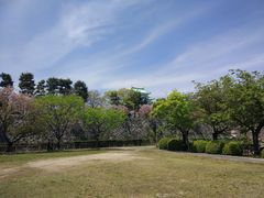 -名古屋城