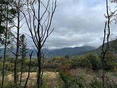-塔川景区