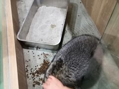 -藦茜花园宠物主题亲子互动体验馆(国顺东路店)