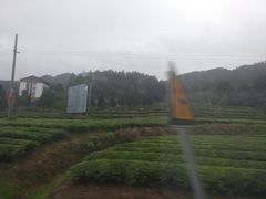 -九曲溪竹筏码头