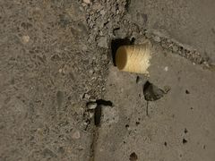 -麦当劳(军博店)