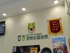 -艾吉宠物医院·疑难杂症转诊中心·猫友好(碧江路院)