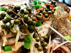 -开海·红岛海鲜虾水饺(石老人店)