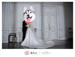 -金夫人婚纱摄影(总店)