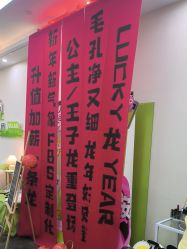 -凡碧诗毛孔清洁收细