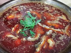 -重庆特色冷锅鱼(武大店)