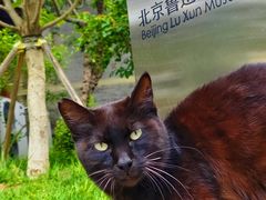 -北京鲁迅博物馆(北京新文化运动纪念馆鲁博馆区)